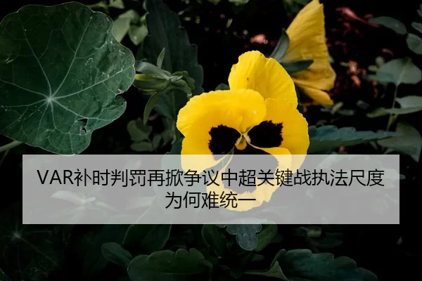 bu-shi-pan-fa-zai-xian-zheng-yi-zhong-chao-guan-jian-zhan-zhi-fa-chi-du-wei-he-nan-tong-yi-2-272.jpg